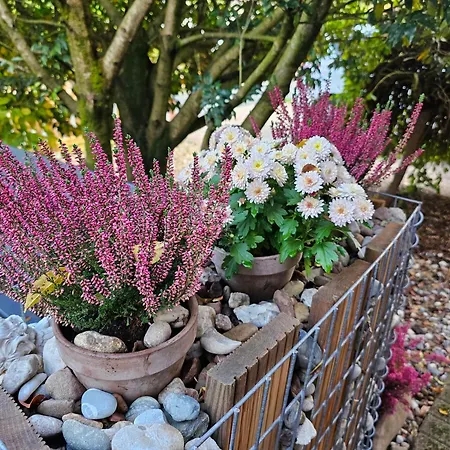 Fewo-aller-auszeit Hademstorf