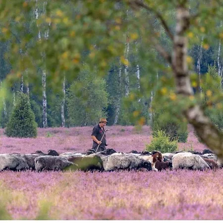 Fewo-aller-auszeit Apartment Hademstorf