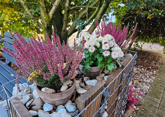 Fewo-aller-auszeit Hademstorf