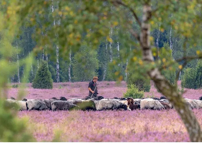 Fewo-aller-auszeit Apartamento Hademstorf