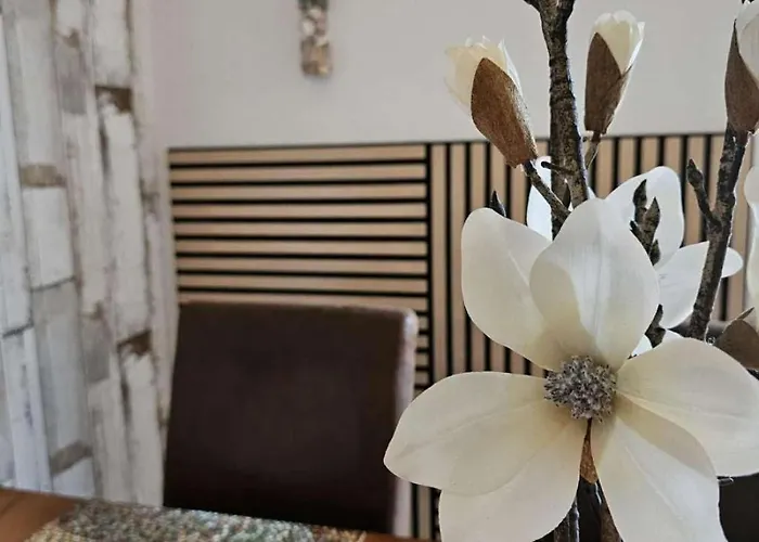 Fewo-aller-auszeit Apartamento